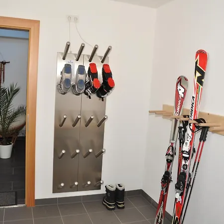 Montana * フェント